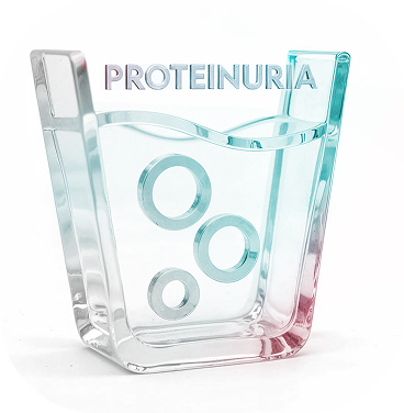 Proteinuria  icon