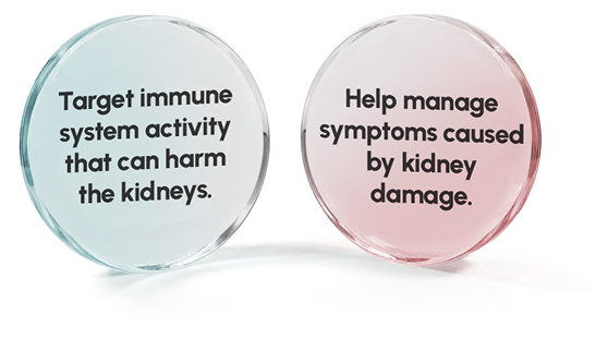 KDIGO Guidelines Graphic