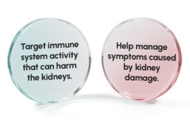 KDIGO Guidelines Graphic