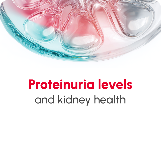 Understanding Proteinuria and IgAN button