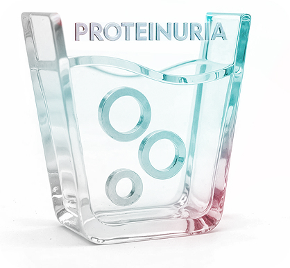 Proteinuria  icon